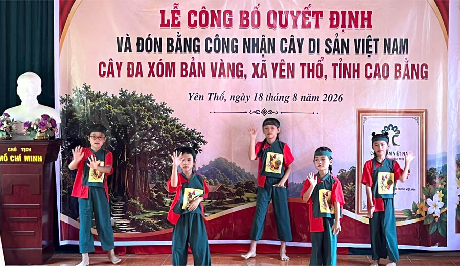 Cao[-]Bằng:[-]C&ocirc;ng[-]nhận[-]c&acirc;y[-]Đa[-]x&oacute;m[-]Bản[-]V&agrave;ng,[-]x&atilde;[-]Y&ecirc;n[-]Thổ[-]l&agrave;[-]C&acirc;y[-]Di[-]sản[-]Việt[-]Nam
